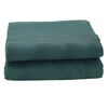 vidaXL Tapis de tente Vert 800 x 350 cm Polyester