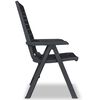 vidaXL Chaise de jardin inclinable plastique anthracite