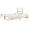 vidaXL Lit coulissant sans matelas 2x(90x200) cm