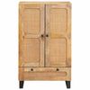 vidaXL Buffet avec porte Marron 60 x 33 x 100 cm Bois de mangue massif