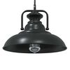 vidaXL Lampe suspendue E27 noir Ø 31 cm fer
