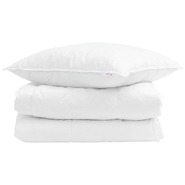 vidaXL Duvet d'été simple avec oreiller 2 pcs Blanc Plume de canard
