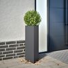 Vignette du produit 2 sur 12