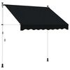 vidaXL Auvent r&eacute;tractable manuel Noir 300 cm