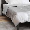 vidaXL Duvet d'&eacute;t&eacute; simple Argent&eacute; 155 x 220 cm Satin et Microfibre