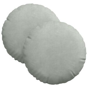 vidaXL Coussins de si&egrave;ge 2 pc Velours Gris clair &Oslash;30 x 13 cm