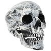 vidaXL Cr&acirc;ne de Halloween SPOOKA 2 pc Blanc 12 x 15 x 17,5 cm