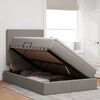vidaXL Lit avec rangement et matelas Taupe 120 x 190 cm tissu