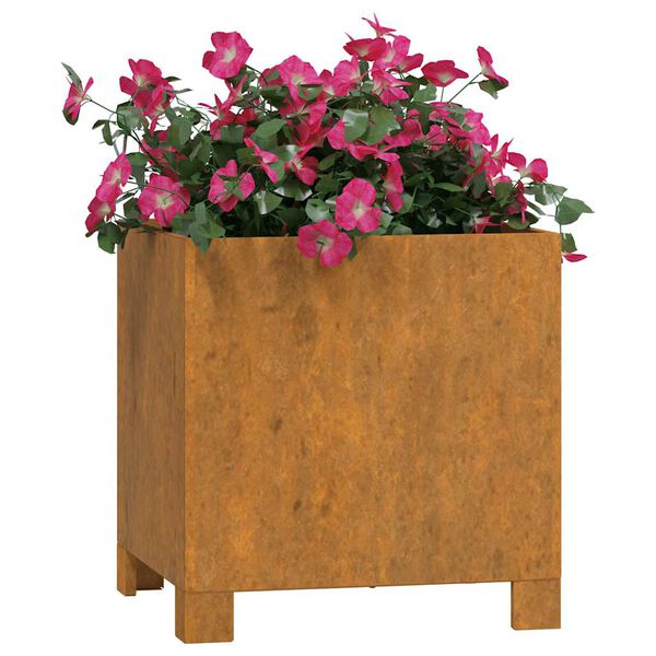 vidaXL Jardini&egrave;res avec pieds 2 pcs Rouill&eacute; 30x30x30 cm Acier corten