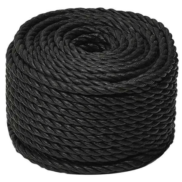 vidaXL Corde de travail Noir 20 mm 25 m polypropyl&egrave;ne