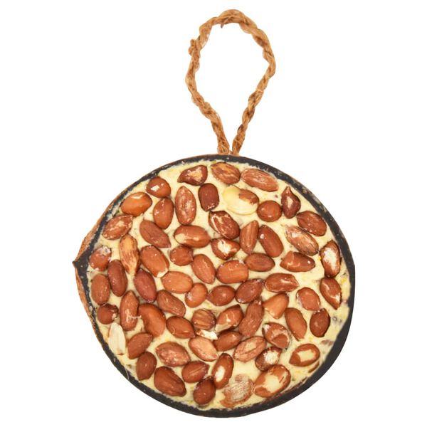 vidaXL Moitiés de noix de coco de nourriture d'oiseaux 10 pcs 290 g