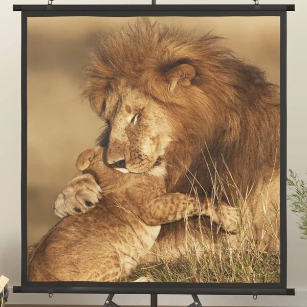 vidaXL &Eacute;cran de projection 67" 1:1