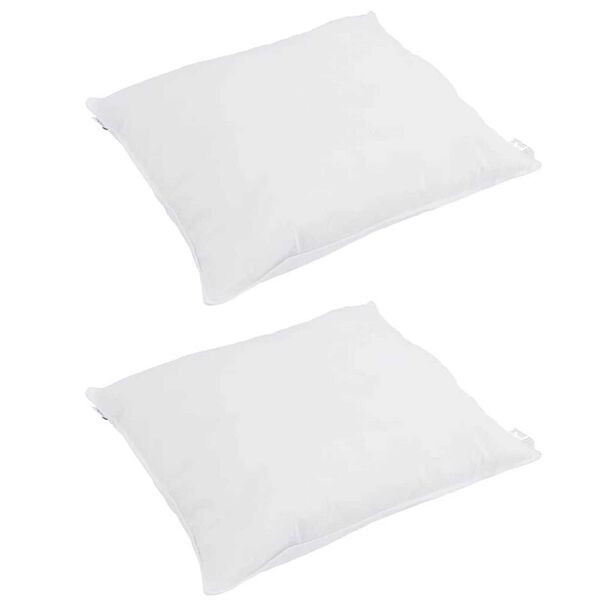 vidaXL Oreiller avec oreiller 2 pcs Blanc 65 x 65 cm Plume