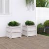 vidaXL Jardini&egrave;res 2 pcs blanc bois de pin massif