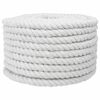 vidaXL Corde en coton 20 mm 25 m Blanc 100% Coton