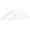 vidaXL Serre avec cadre en acier blanc 12 m&sup2; 6x2x2,85 m