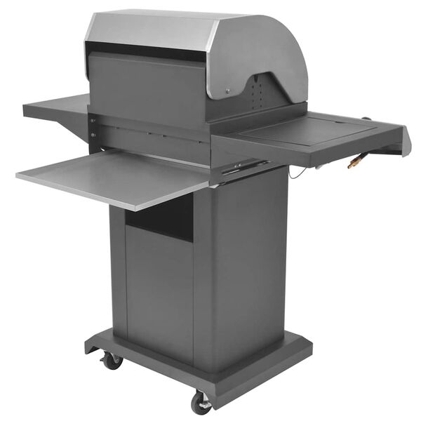 vidaXL Gril &agrave; Gaz avec Br&ucirc;leur Argent&eacute; Acier avec Tuyau en M&eacute;tal