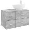 vidaXL Ensemble de mobilier de salle de bain 2 pc Gris b&eacute;ton