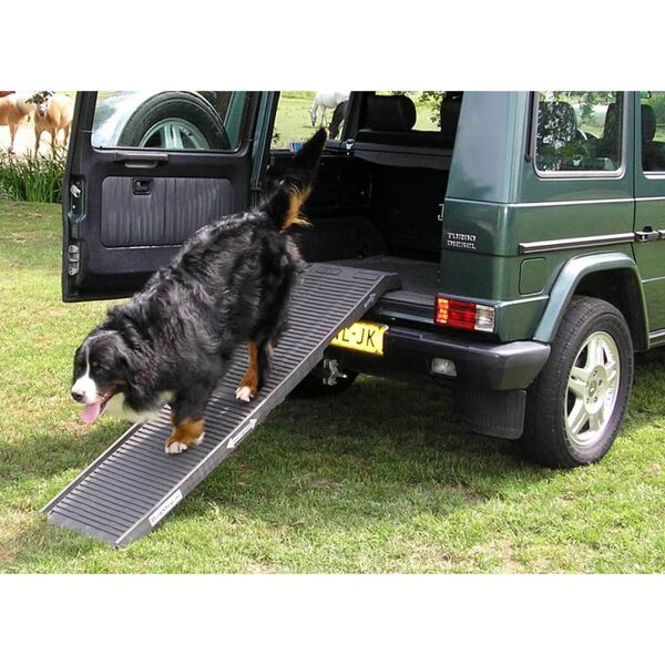PetSafe Rampe pour chien 180x45x6 cm Anthracite