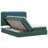 vidaXL Lit de rangement LED avec matelas Vert fonc&eacute; 200 x 200 cm
