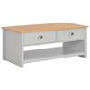 vidaXL Table basse Gris 100x50x42 cm