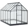 vidaXL Serre de jardin 183,5 x 303,5 x 207 cm