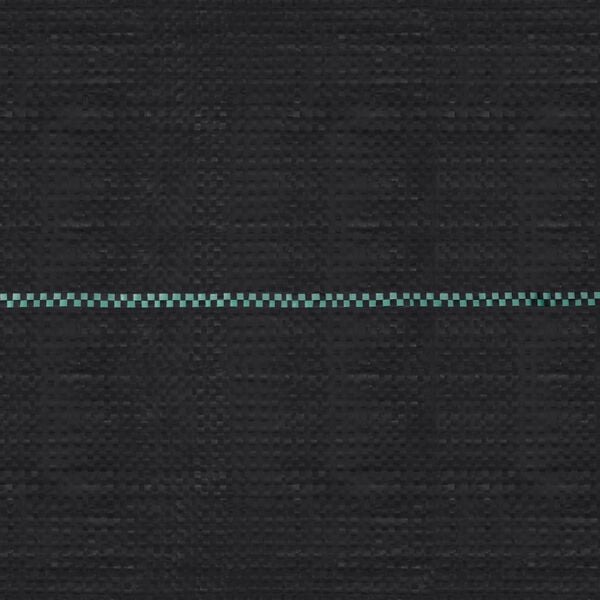 vidaXL Toile de paillage Noir 2x10 m PP