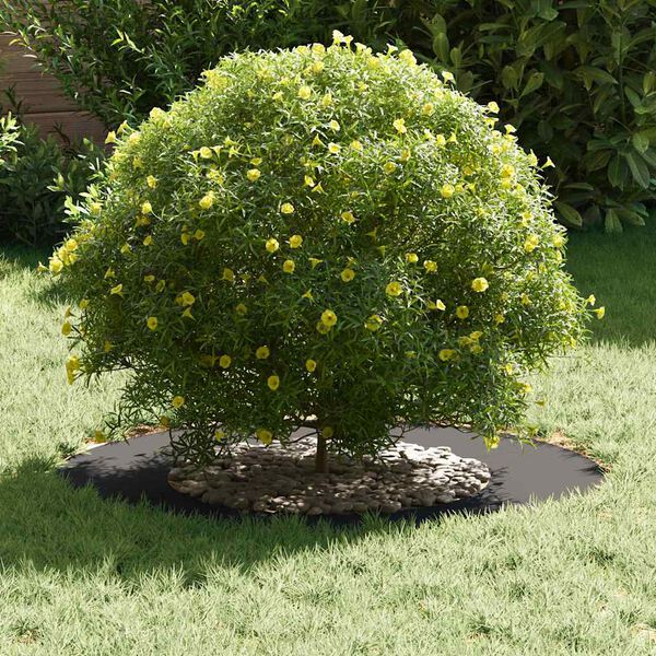 vidaXL adapt&eacute; pour anneaux d'arbre plats 5 pcs Noir &Oslash;40 / 70 cm Acier