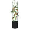 vidaXL Cages &agrave; tomates avec sacs &agrave; plantes 6 pcs 154 cm acier et PP