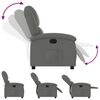vidaXL Fauteuil inclinable en tissu gris fonc&eacute;