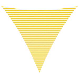 vidaXL Voile d'ombre 6 x 6 x 6 m 100 % polyester Oxford Triangulaire