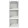 vidaXL Armoire suspendue avec stockage Riga Blanc 30 x 29,5 x 80 cm