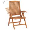 vidaXL Chaises inclinables de jardin lot de 2 Bois de teck solide