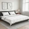 Vignette du produit 2 sur 10