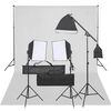vidaXL Kit de studio photo avec &eacute;clairage et toile de fond