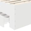 Vignette du produit 10 sur 15
