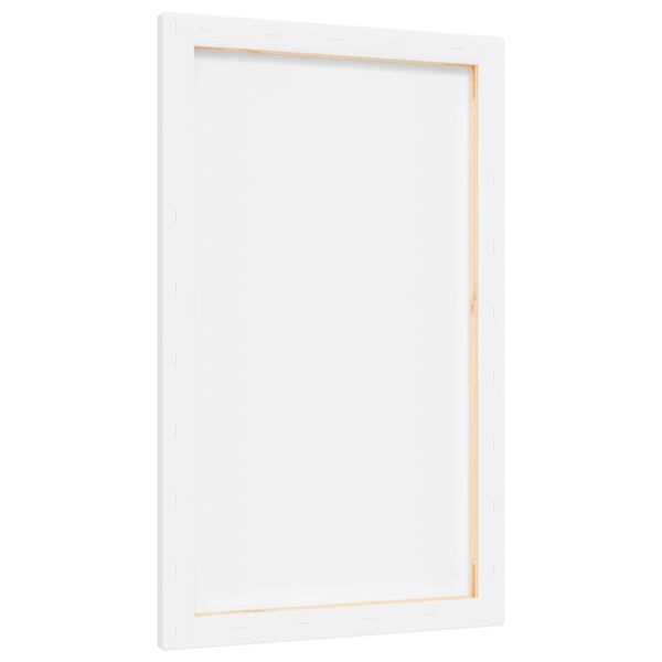 vidaXL Toiles &agrave; peindre 12 pcs blanc tissu et bois massif pin