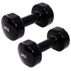 vidaXL Halt&egrave;res 2 pcs 2x5 kg Fonte Noir