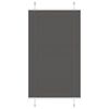 vidaXL Store pliss&eacute; noir 70x150 cm largeur du tissu 69,4 cm polyester