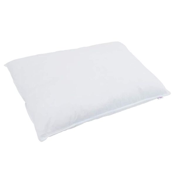 vidaXL Duvet d'hiver avec oreiller 2 pcs Blanc Plume de canard