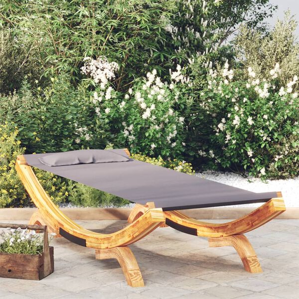 vidaXL Lit de repos ext&eacute;rieur 100x188,5x44 cm Bois courb&eacute; Anthracite