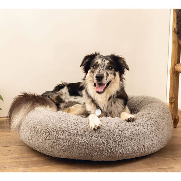 Beeztees Lit pour chien Mousse &agrave; m&eacute;moire de forme Jaxx 50x20 cm Gris