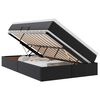 vidaXL Lit avec rangement et matelas avec matelas Noir 120 x 200 cm
