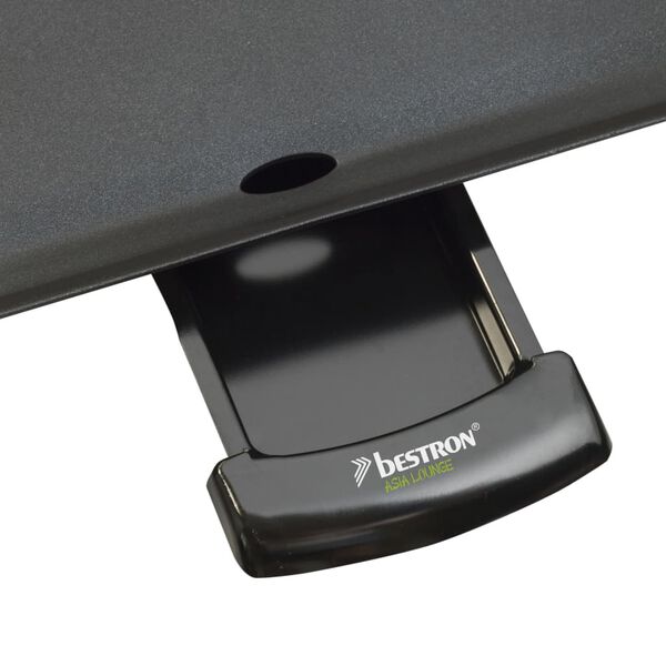 Bestron Plaque de cuisson avec poign&eacute;es ABP602BB 48x26 cm 2000 W