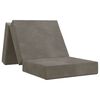 vidaXL Canap&eacute;-lit pliable 75 x 67 x 45 cm Gris clair