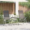 vidaXL Chaises de camping pliables lot de 2 Gris Aluminium