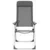 vidaXL Chaises de camping pliables lot de 2 Gris Aluminium