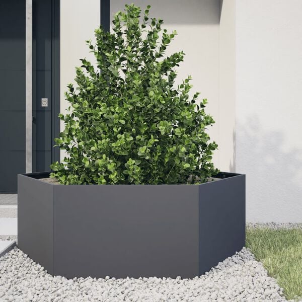 vidaXL Jardini&egrave;re anthracite hexagone 138x120x45 cm acier