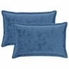 vidaXL Housse de coussin 2 pcs HOUTEN Bleu clair 50 x 80 cm Flanelle