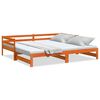 vidaXL Lit de jour et lit gigogne sans matelas 80x200 cm bois massif